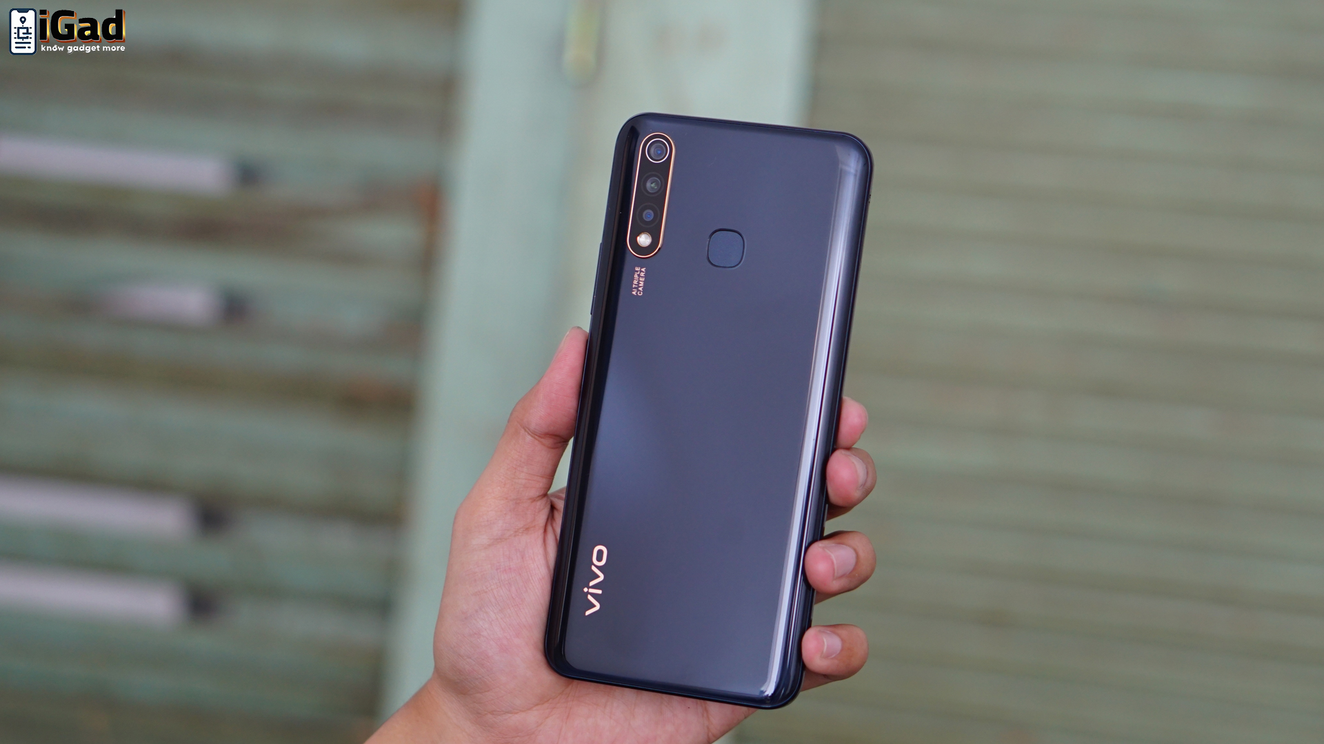 Desain Menarik dan Fitur Lengkap: Kenapa Vivo Y19 Layk Dipilih