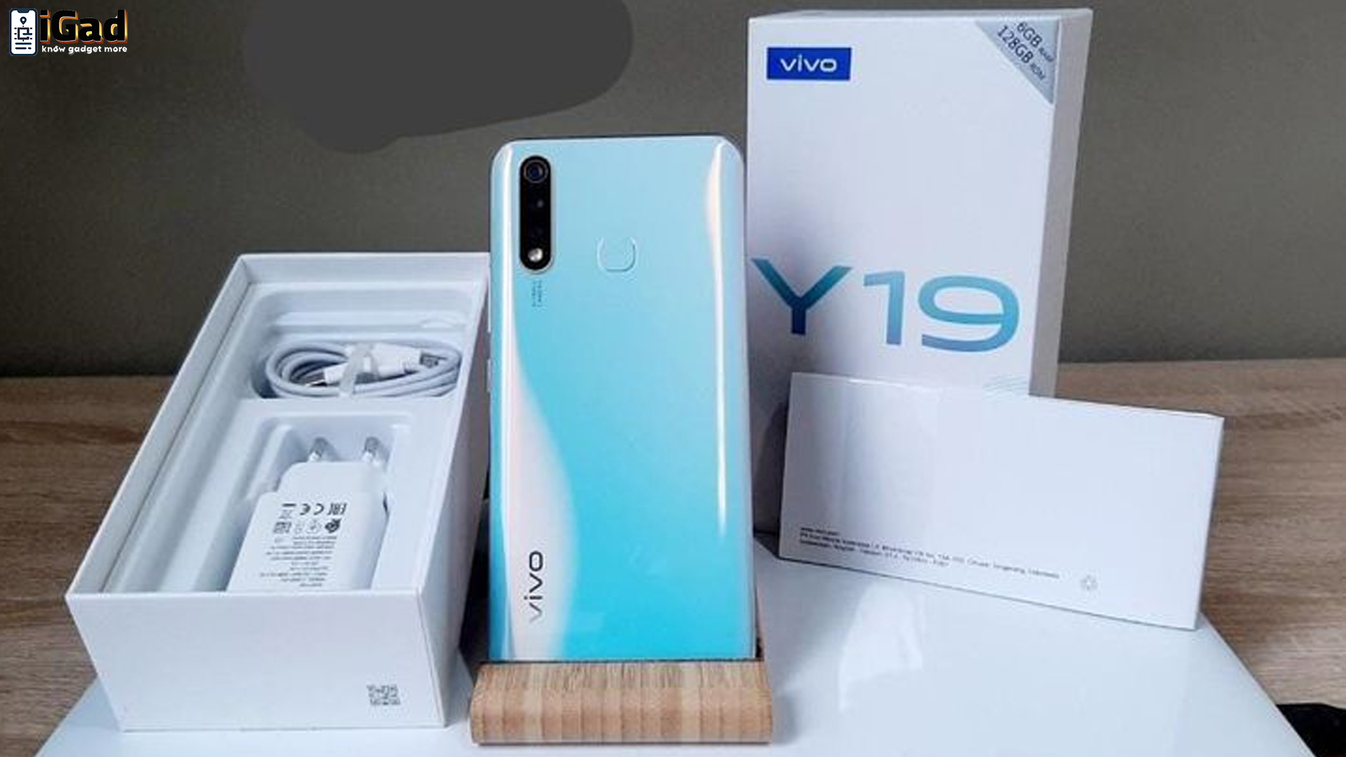 Desain Menarik dan Fitur Lengkap: Kenapa Vivo Y19 Layk Dipilih