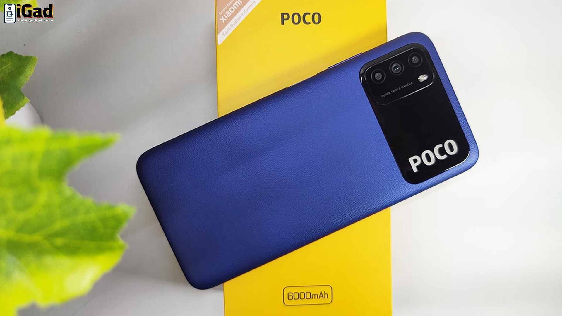 Ulasan Poco M3: Kualitas Terbaik dengan Harga Terjangkau