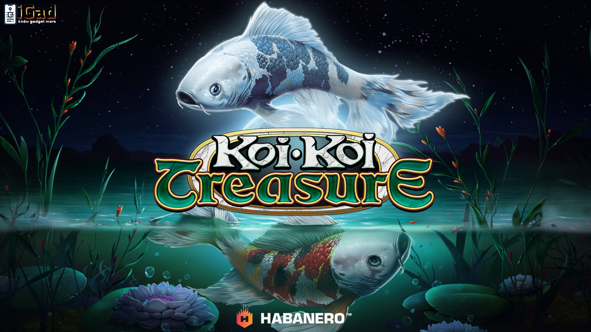 Situs Slot Gacor Kembali Panas Lagi karena Koi Koi Treasure
