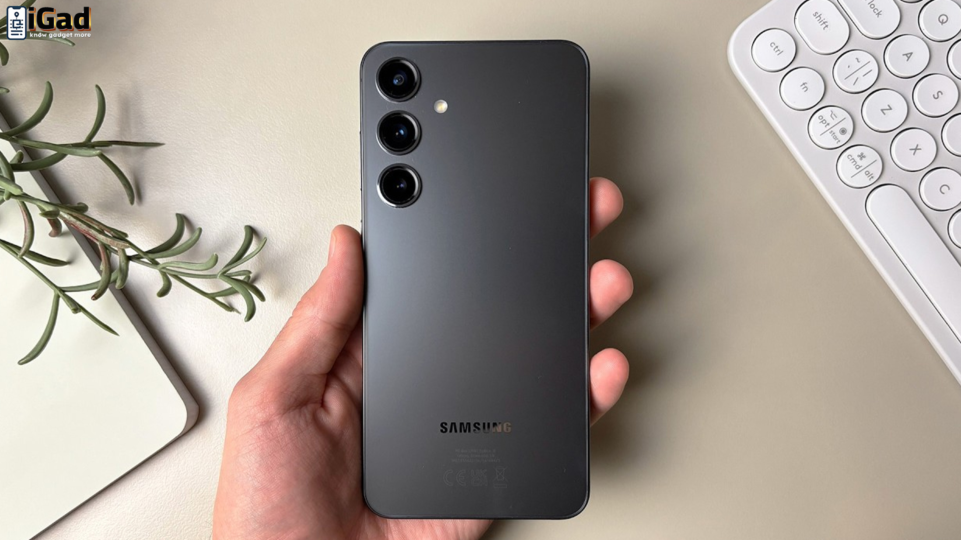Mengupas Tuntas Samsung S24 Plus, Pilihan Tepat di Era Digital