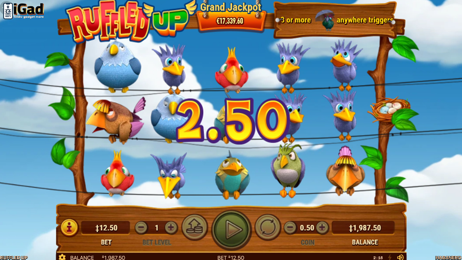 Ledakan Hoki Terbaru di Dunia Slot Ruffled Up yang Bikin2 Heboh