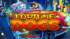 Mengenal Fungsi Ruby8000 Login dalam Slot Fortune Dogs