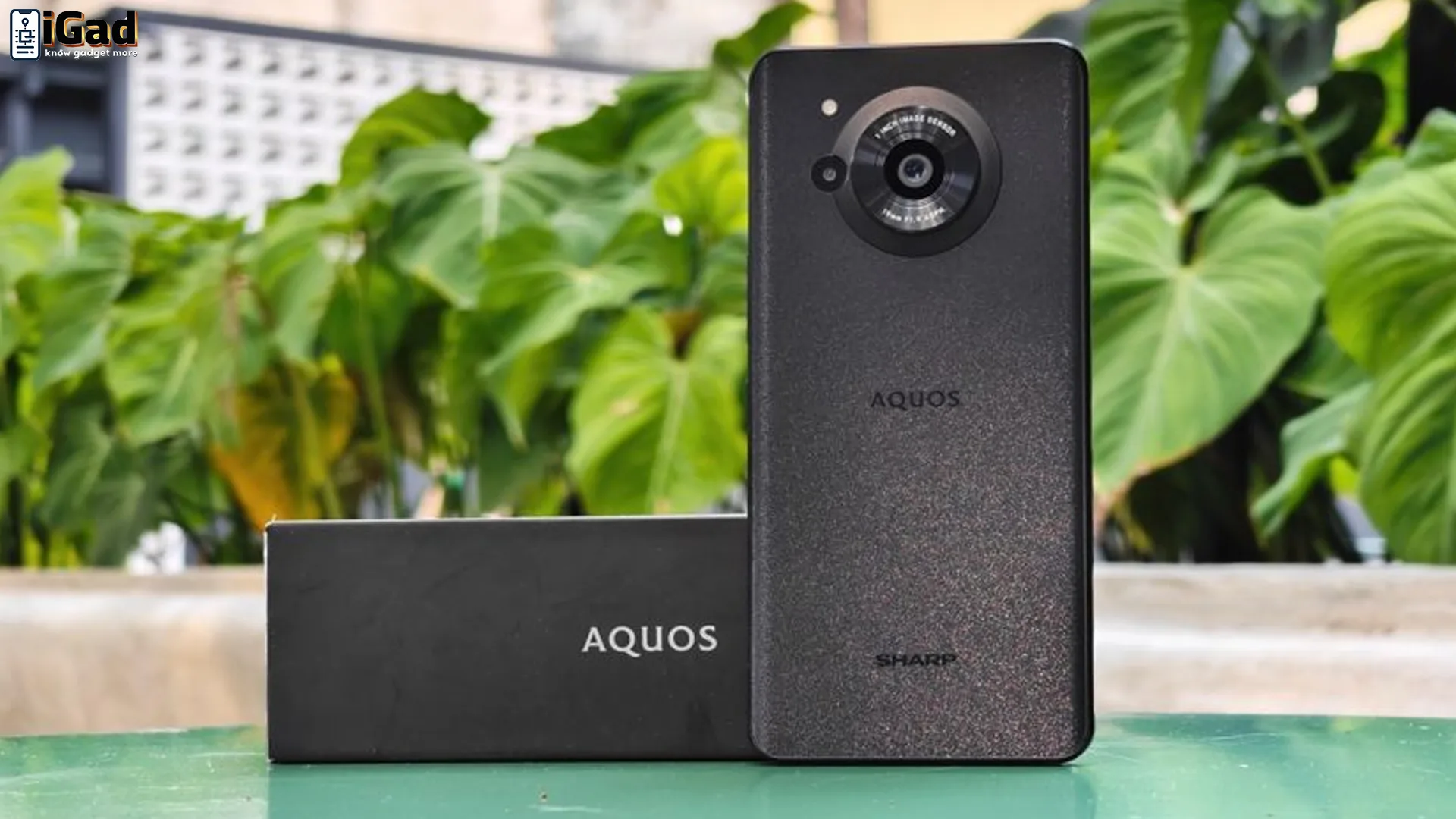 Sharp Aquos R7s: Daya Tahan Baterai dan Teknologi Terbaru