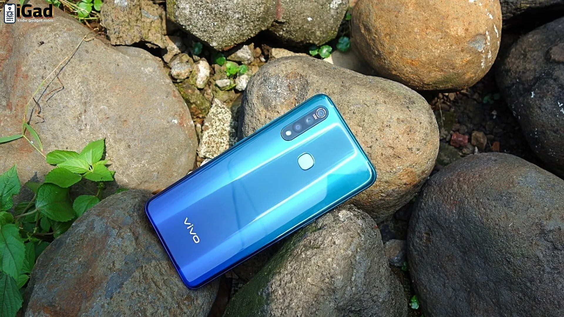 Kenapa Vivo Z1 Pro Layak Jadi Smartphone Andalan Terbaru