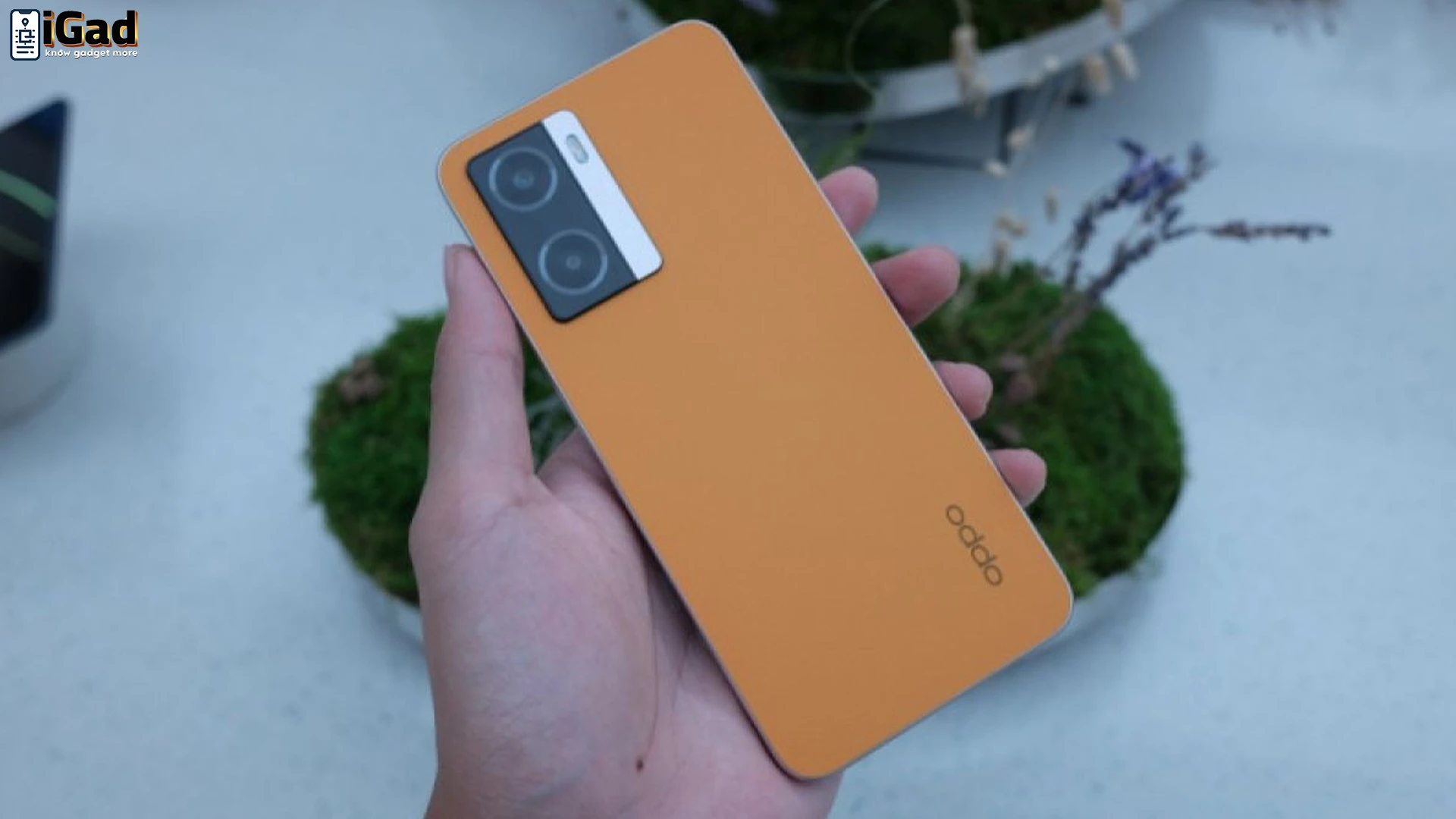 Oppo A77s dan Daya Tariknya Buat Anak Muda yang Serba Aktif