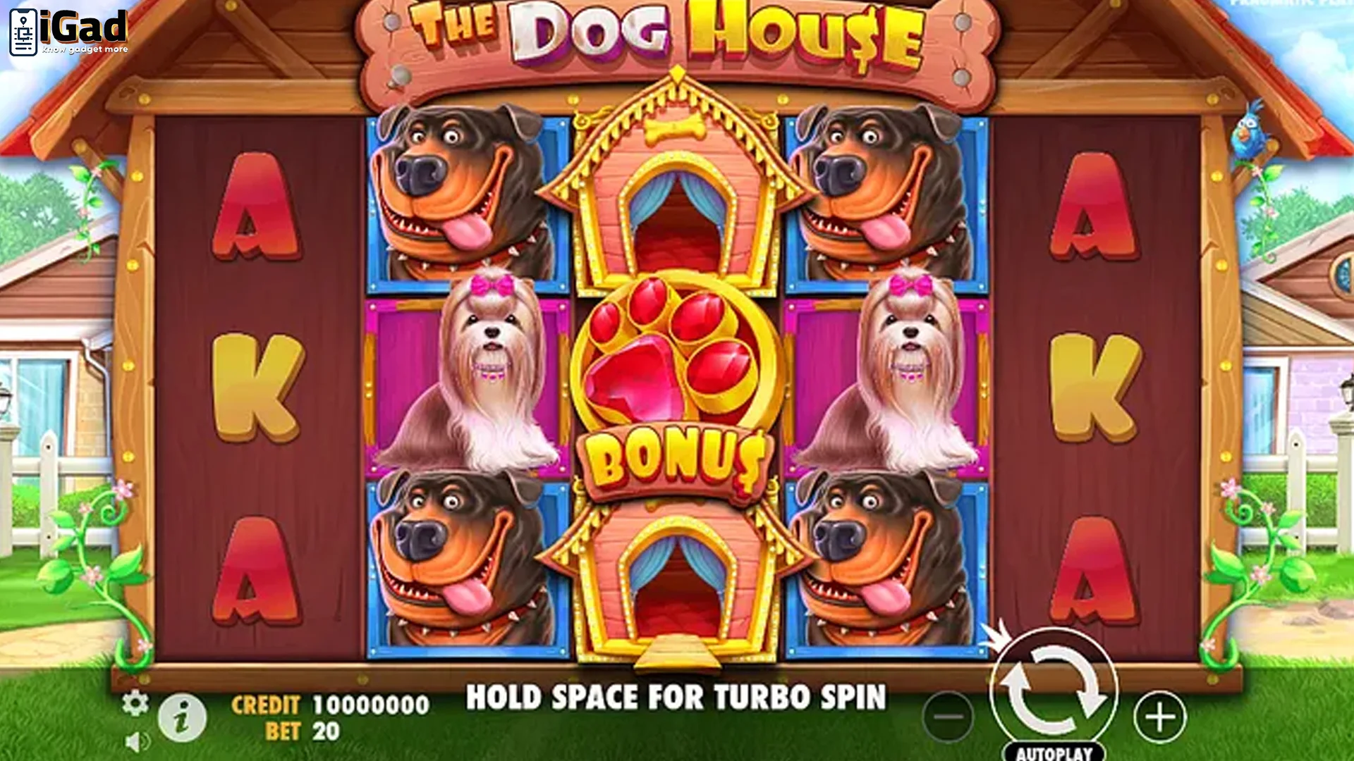 Bocoran Pola The Dog House: Momen Langka yang Wajib Dicatat