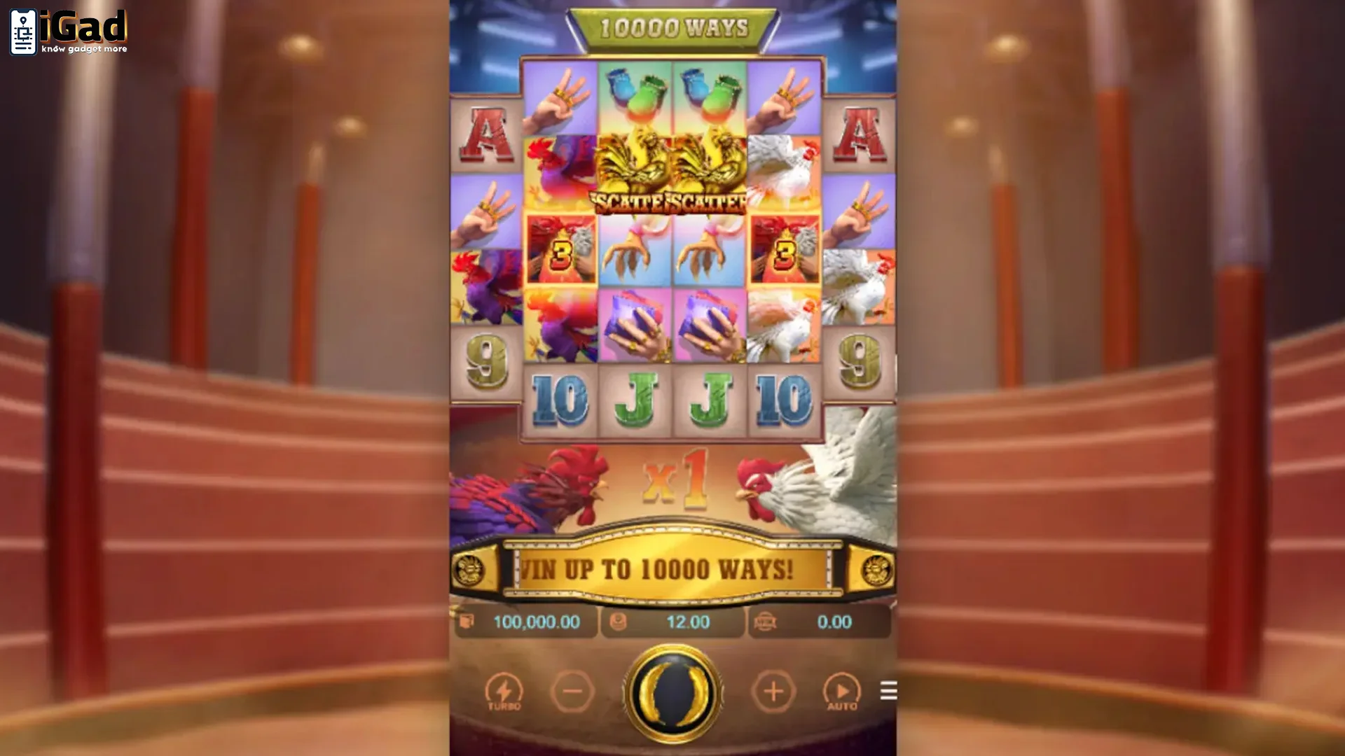 Kepo Ya? Ini Jawaban Soal Fenomena Rooster Rumble 2026