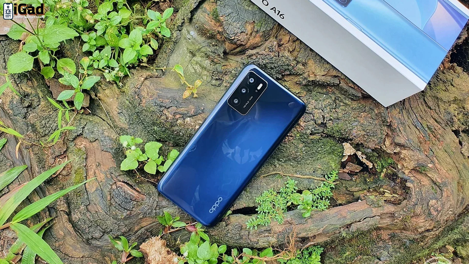 Oppo A16 Tunjukkan Keunggulan Performa Patut Diperhitungkan