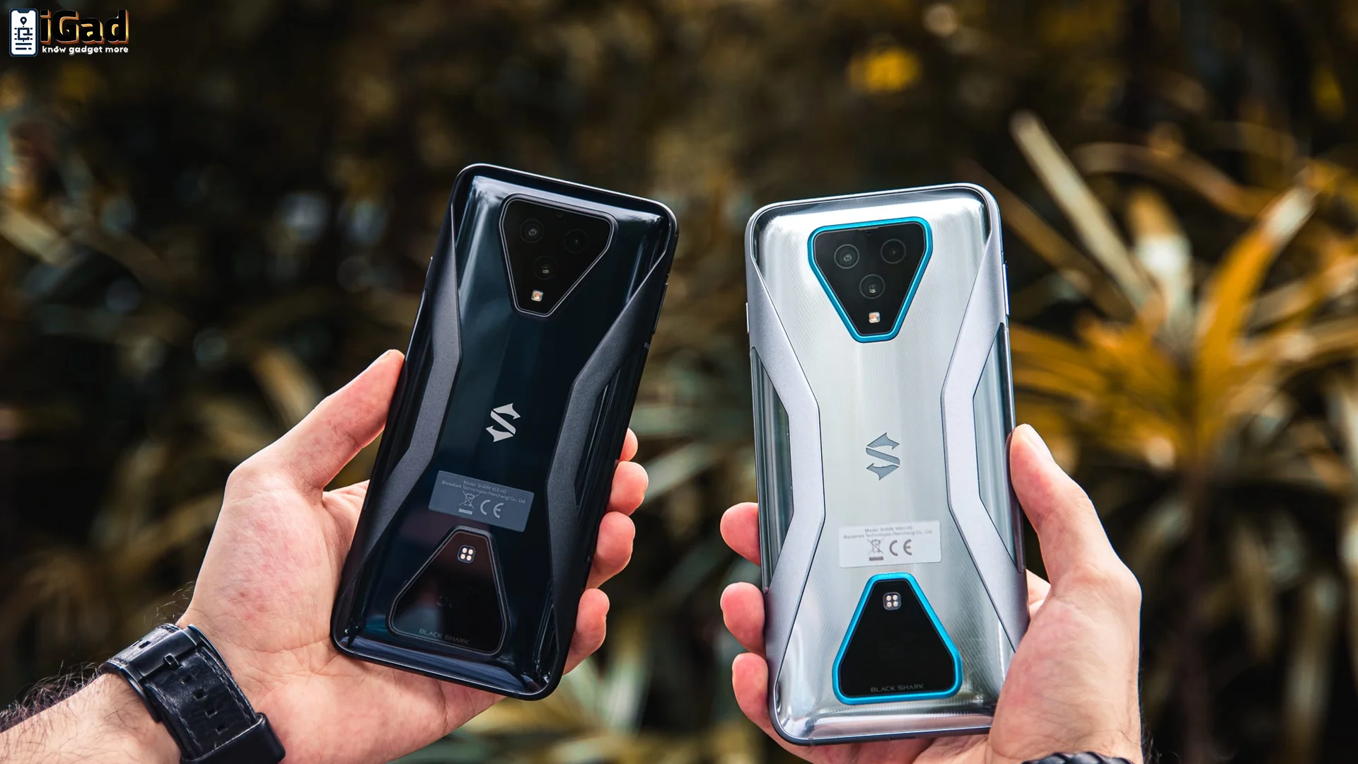 Keunikan Black Shark 3 Ponsel Gaming Ekstrem Jelas